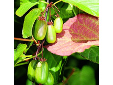 150���. ��������� ��������� ������ �����������.jpg