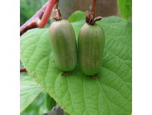 150���. ��������� ��������� ������������.jpg