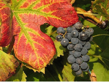 150���. �������� ��������� ������.jpg