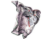 D04-1151.jpg