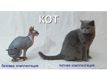 ���� ���� � � ������ ������������