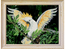 �����_������_B607