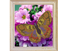 �����������_B311