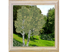 ������_407