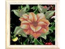 �������_B502