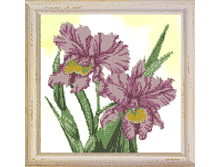 �����_B501