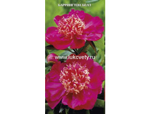 ���� ���������� ���� 235,0