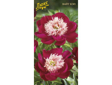 ���� ���� ��� 410,0