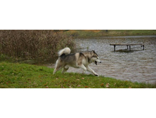 ��� ��.jpg