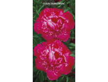 ���� ��������� ���� 180,0