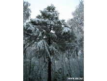 14 ������� 2007. ��� �� ����