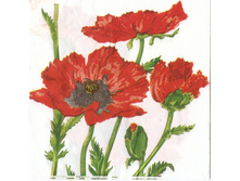 №134   1/4 ����   ���� �������    8 �     10 ��.