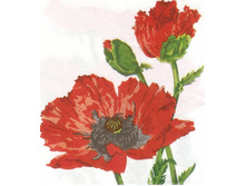 №134   ������ ������� ����