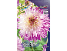 51,4���.�������� �� ���� (���������� ������ ������ ���������� �� 1 ��.).jpg