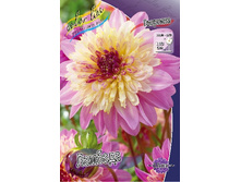 54,3���.�������� ������� (���������� ������ ������ ���������� �� 1 ��.).jpg