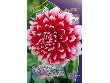 53,8���.�������� ��� ��� ���� ������ (���������� ������ ������ ���������� �� 1 ��.).jpg