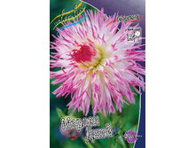 54,3���.�������� ������ ���� (���������� ������ ������ ���������� �� 1 ��.).jpg