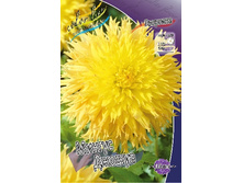 54,3���.�������� ������ ������ (���������� ������ ������ ���������� �� 1 ��.).jpg