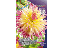 57,2���.�������� ������� ������ (���������� ������ ������ ���������� �� 1 ��.).jpg