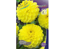 43,9���.�������� ���� (���������� ������ ������ ���������� �� 1 ��.).jpg