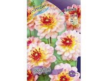 48,5���.�������� ������� (���������� ������ ������ ���������� �� 1 ��.).jpg