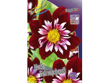 60,1���.�������� ���� ���������� (���������� ������ ������ ���������� �� 1 ��.).jpg