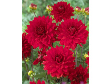 45,6���.�������� ������ ������ (���������� ������ ������ ���������� �� 1 ��.).jpg