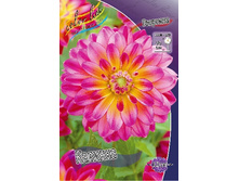 48,5���.�������� ������� (���������� ������ ������ ���������� �� 1 ��.).jpg