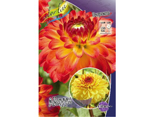 51,4���.�������� ������ (���������� ������ ������ ���������� �� 1 ��.).jpg