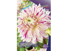 53,8���.�������� ������� (���������� ������ ������ ���������� �� 1 ��.).jpg