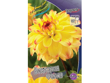 53,8���.�������� �������� ����� (���������� ������ ������ ���������� �� 1 ��.).jpg