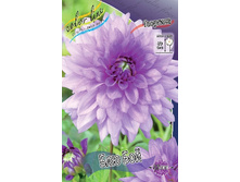 54,3���.�������� ��� ��� (���������� ������ ������ ���������� �� 1 ��.).jpg