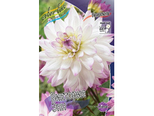 54,3���.�������� �������� ��� (���������� ������ ������ ���������� �� 1 ��.).jpg