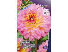 54,3���.�������� ����� ������ (���������� ������ ������ ���������� �� 1 ��.).jpg