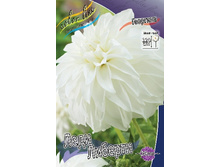 54,3���.�������� ���� ������� (���������� ������ ������ ���������� �� 1 ��.).jpg