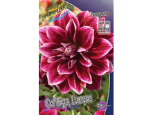 54,3���.�������� �� ��� ����� (���������� ������ ������ ���������� �� 1 ��.).jpg