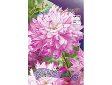 54,3���.�������� �� ��� �� (���������� ������ ������ ���������� �� 1 ��.).jpg