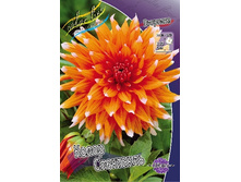 44,5���.�������� ����� ��������� (���������� ������ ������ ���������� �� 1 ��.).jpg