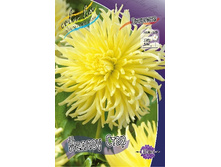 45,6���.�������� ������ ���� (���������� ������ ������ ���������� �� 1 ��.).jpg