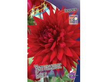 45,6���.�������� ��������� ���� (���������� ������ ������ ���������� �� 1 ��.).jpg