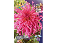 49,5���.�������� ���� ��� (���������� ������ ������ ���������� �� 1 ��.).jpg