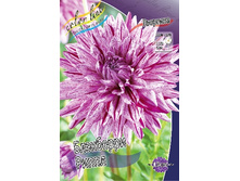 54,3���.�������� ��������� ����� (���������� ������ ������ ���������� �� 1 ��.).jpg