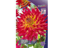 54,3���.�������� ���� (���������� ������ ������ ���������� �� 1 ��.).jpg