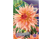 54,3���.�������� �������� (���������� ������ ������ ���������� �� 1 ��.).jpg