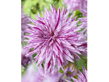 56,7���.�������� ��� ���� (���������� ������ ������ ���������� �� 1 ��.).jpg