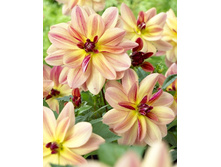 54,3���.�������� ����� ���������� (���������� ������ ������ ���������� �� 1 ��.).jpg