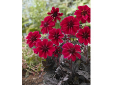 61,9���.�������� ���� ����� - ������� (���������� ������ ������ ���������� �� 1 ��.).jpg