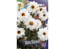 53,8���.�������� ��� ����� (���������� ������ ������ ���������� �� 1 ��.).jpg