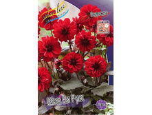 53,8���.�������� ��� �� ��� (���������� ������ ������ ���������� �� 1 ��.).jpg