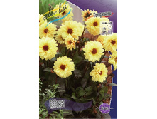 53,8���.�������� ��� ������ (���������� ������ ������ ���������� �� 1 ��.).jpg